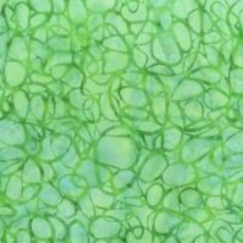 Swirls Mint