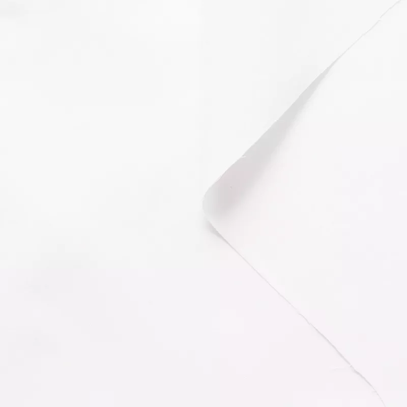 t22a01060-soft-cotton-poplin-blanc-de-blanc T22A01060 | Soft Cotton Poplin Blanc de Blanc
