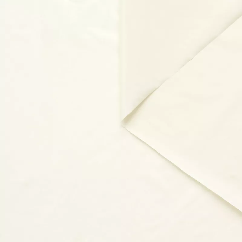 T23U04254 | WR Chintz Parachute Bone White