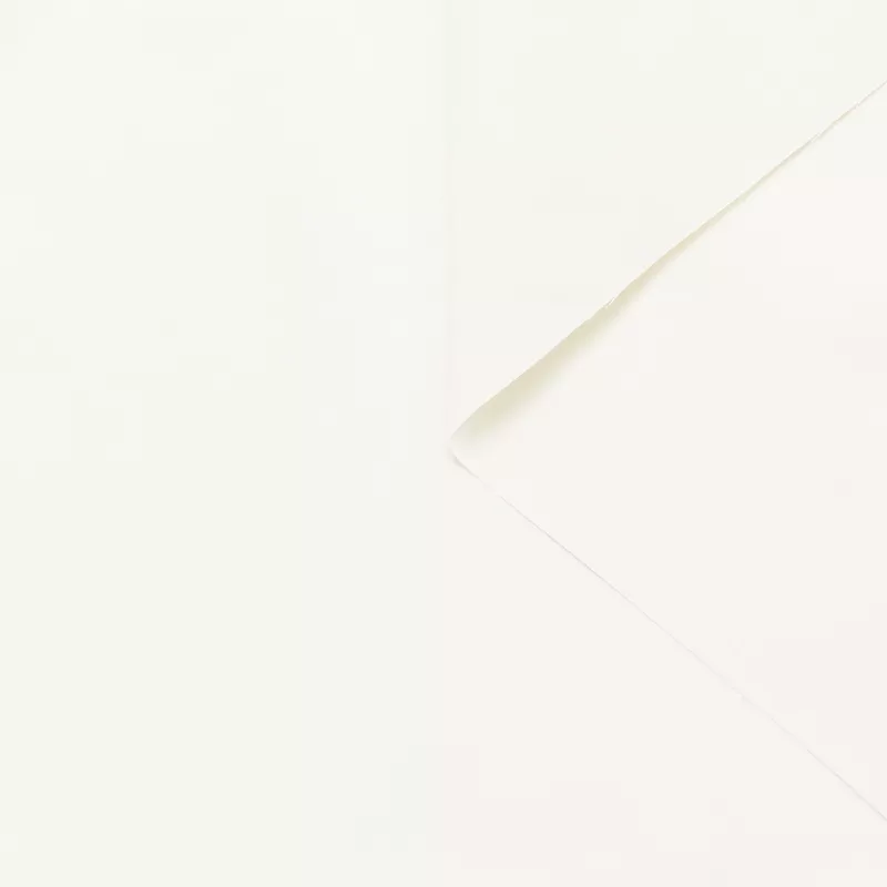 T24B08971 | Taffeta Snow White