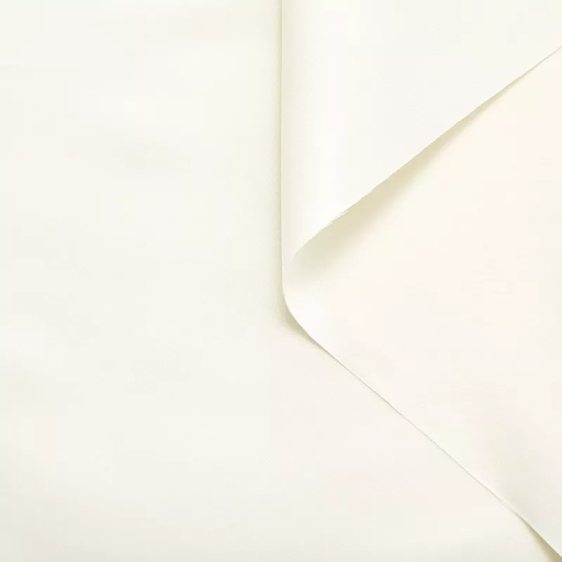 T24V07323 | Stiff Silk Canvas Pristine