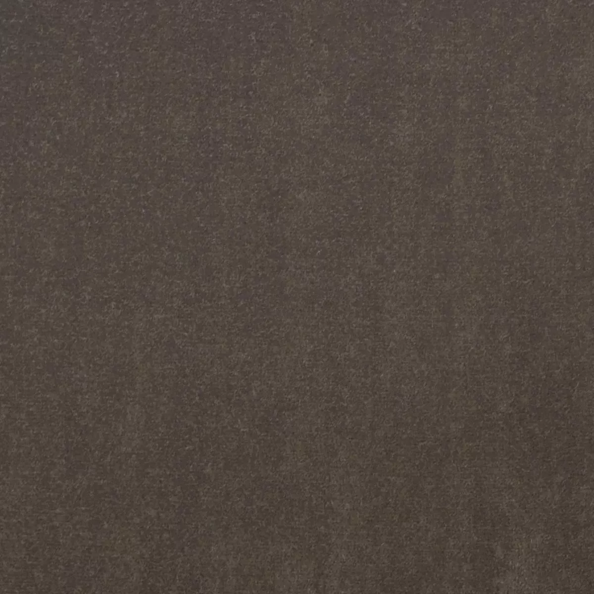 Taboo Java P/Kaufmann Fabric