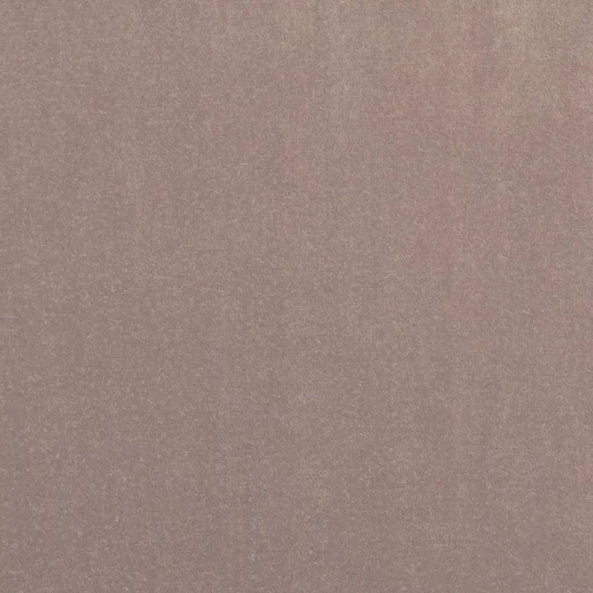 Taboo Mink P Kaufmann Fabric