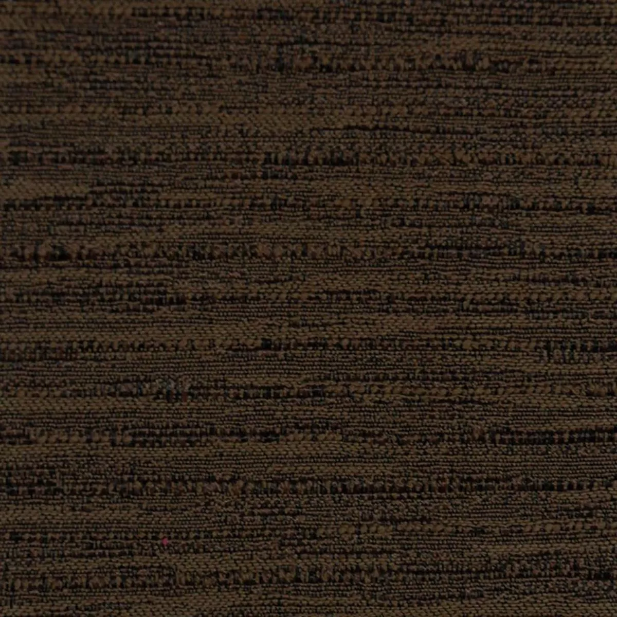TAIL WIND Oakwood RM Coco Fabric