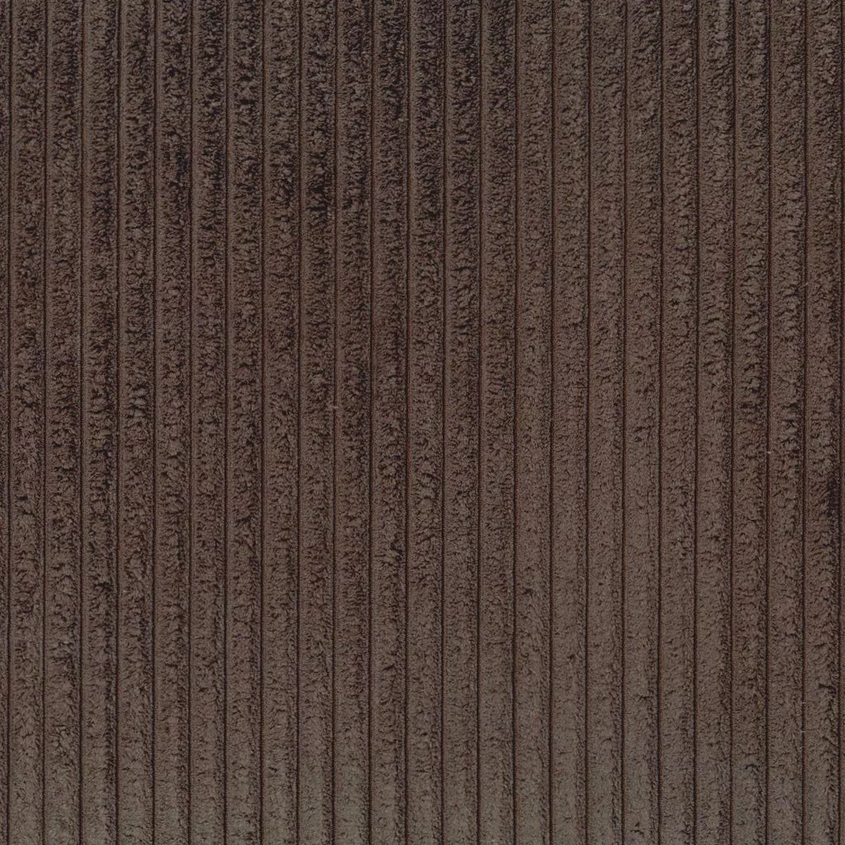 taxi-espresso-regal-fabric Taxi Espresso Regal Fabric