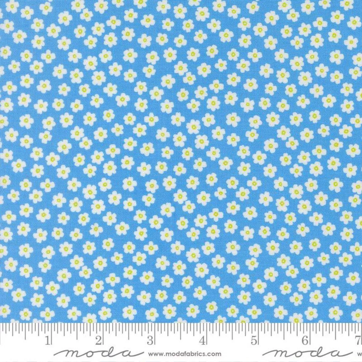 tiny-daisies-blue-my-mind-by-alli-k-design Tiny Daisies Blue My Mind by Alli K Design