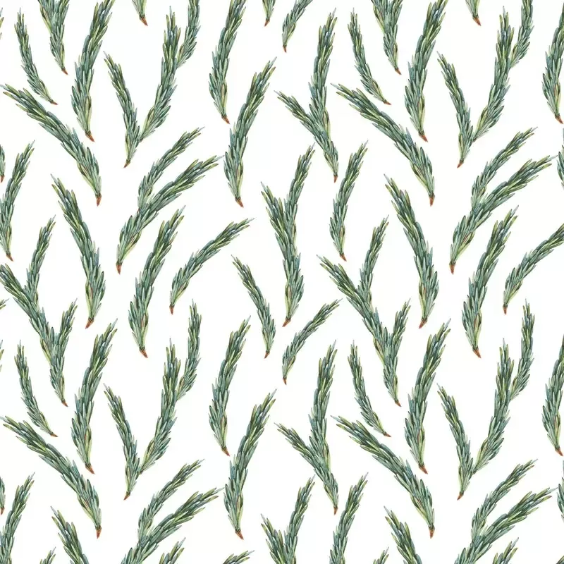 tossed-forest-fir-branch-fabric Tossed Forest Fir Branch Fabric