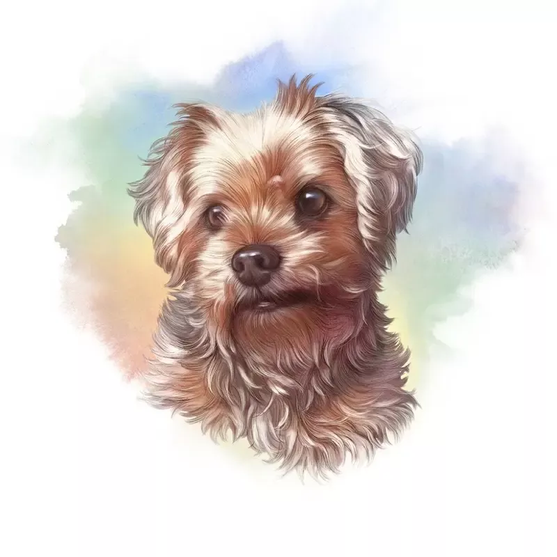 Toy Poodle Portrait Fabric Panel – Multi