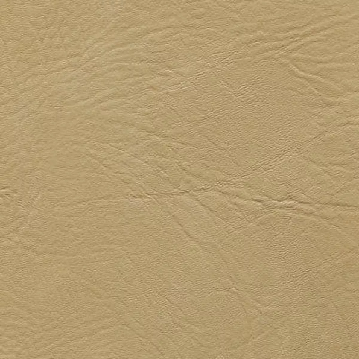 Tradewinds 7708 Ivory Coast Fabric