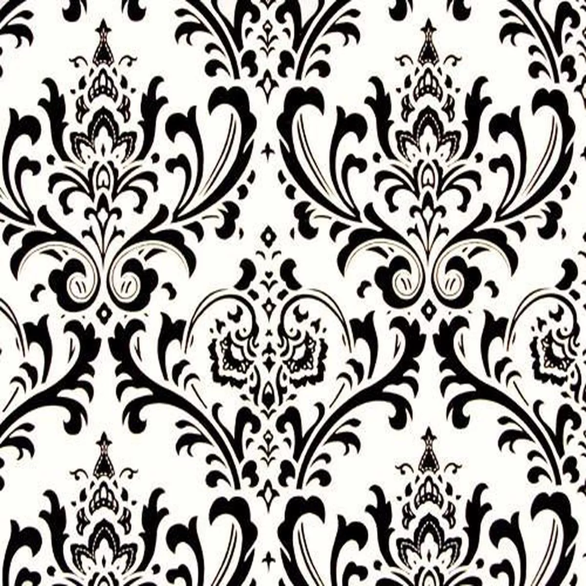 traditions-black-white Traditions Black White