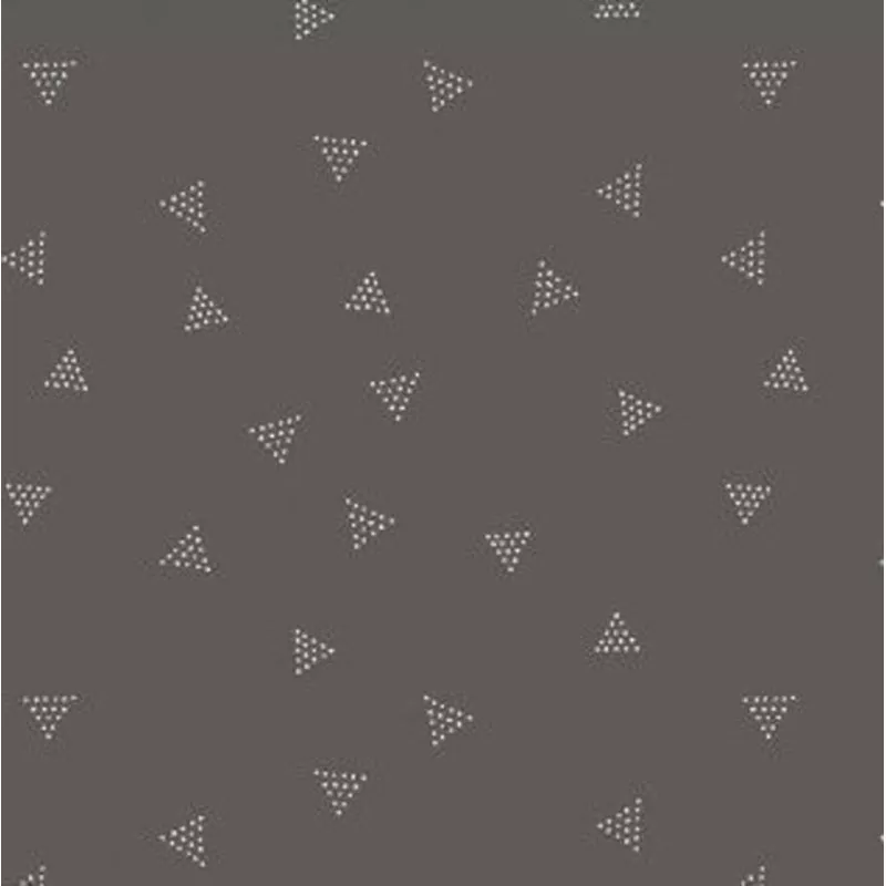 triangle-dots-in-fossil Triangle Dots in Fossil