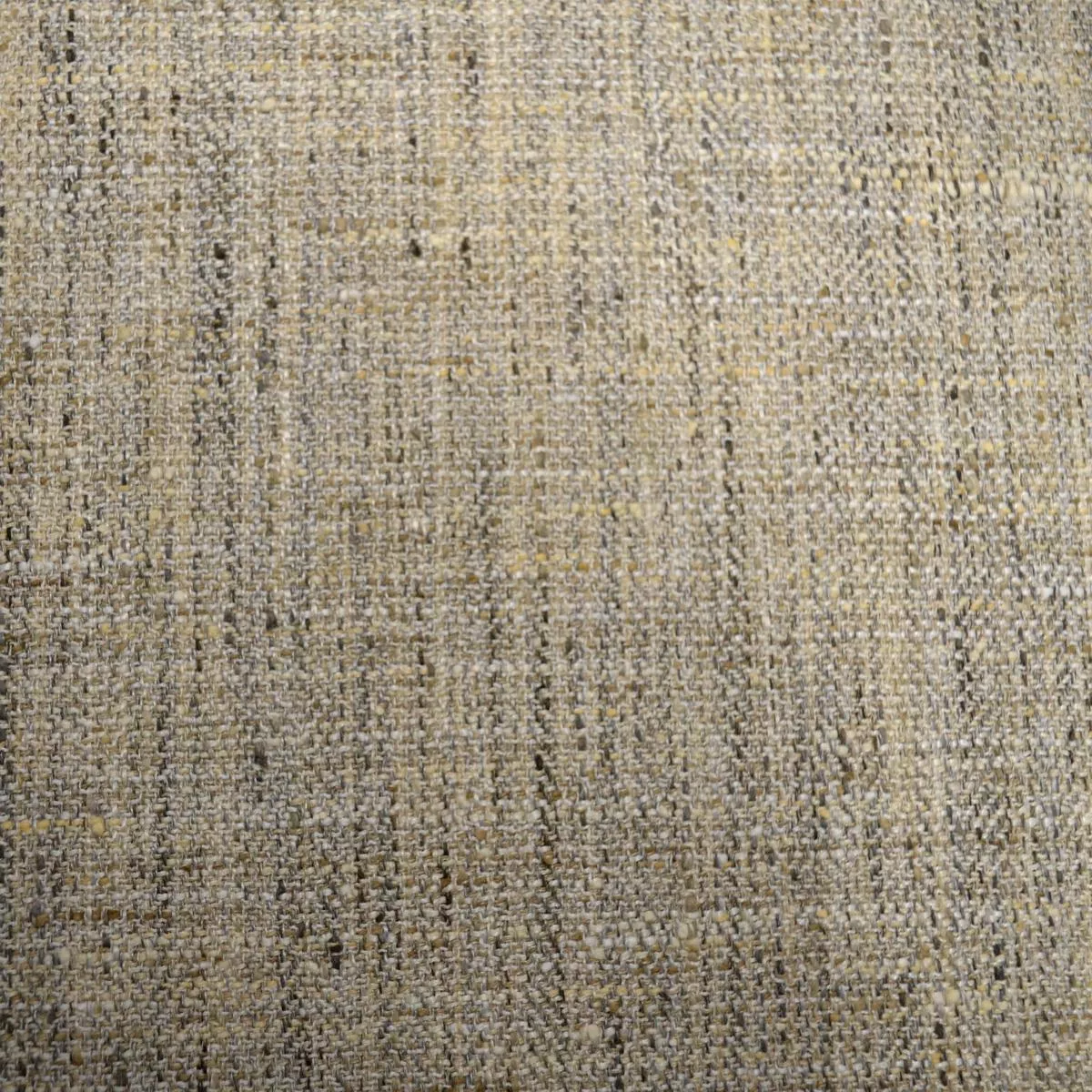 Trophy Seashell Swavelle Mill Creek Fabric