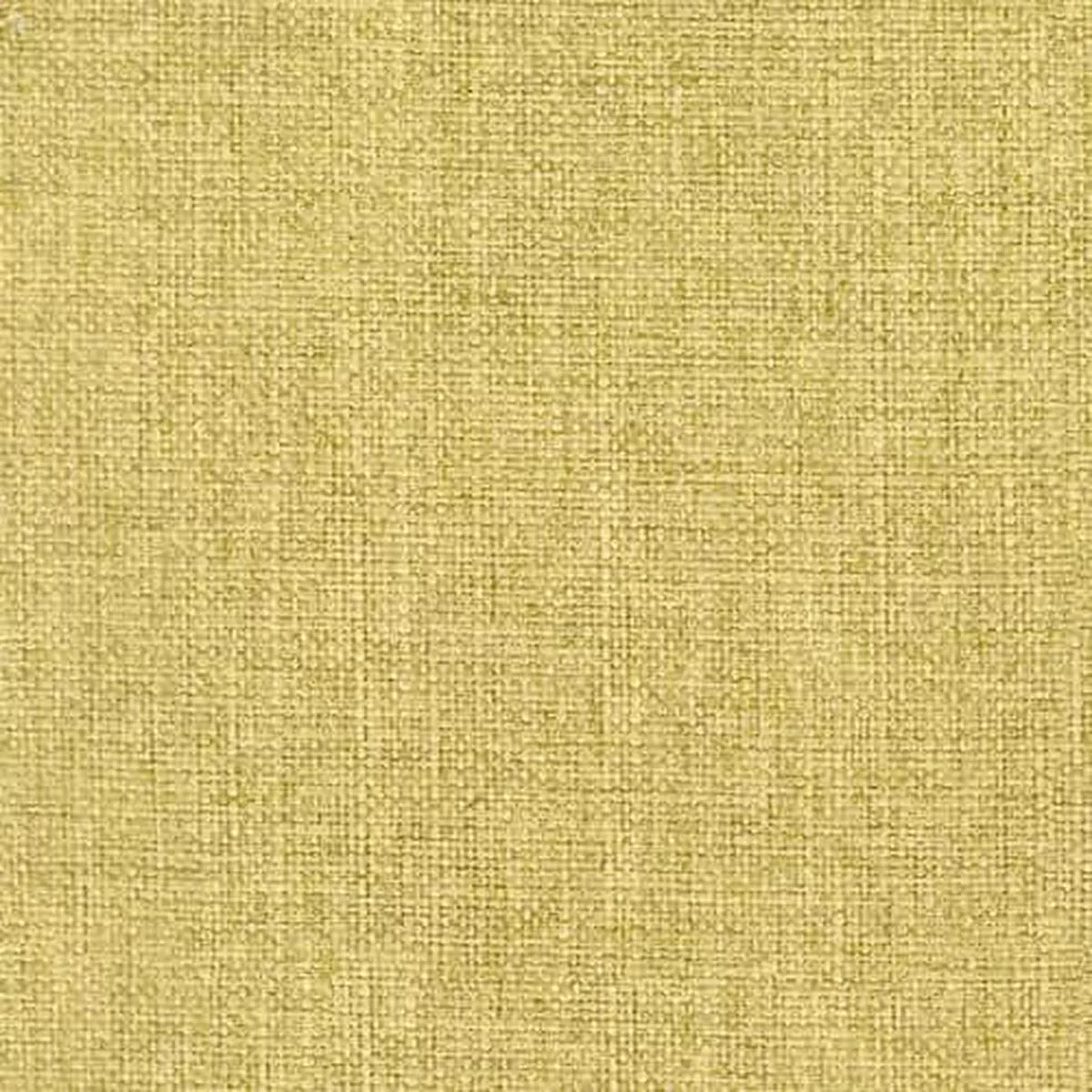 Turbo Citron Regal Fabric