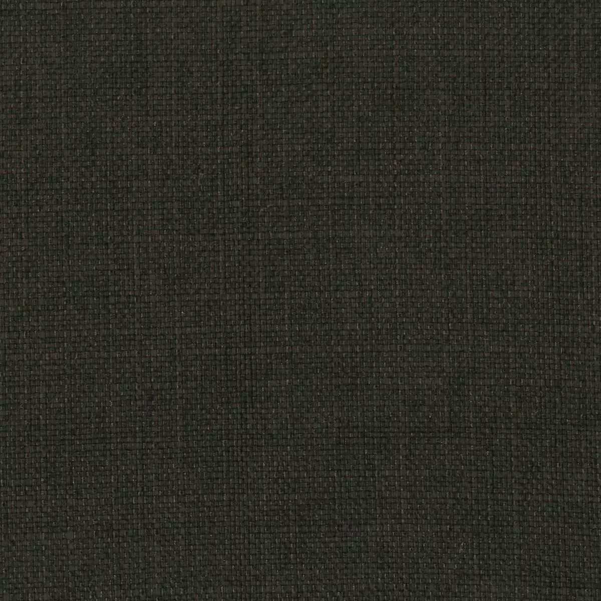 Turbo Espresso Regal Fabric