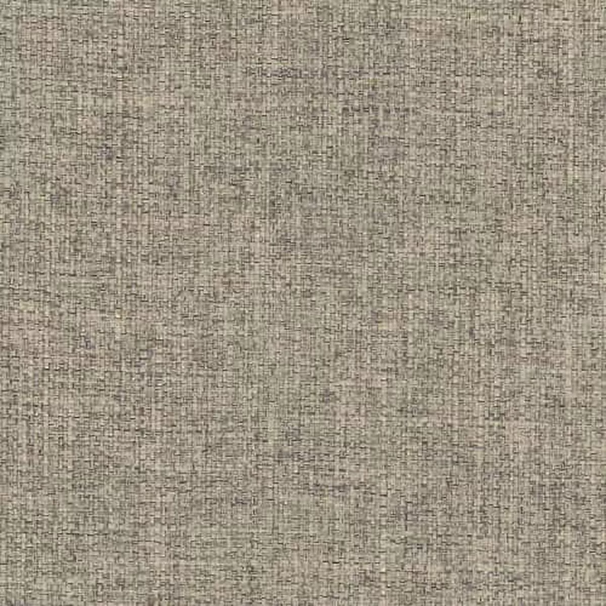 Turbo Mushroom Regal Fabric