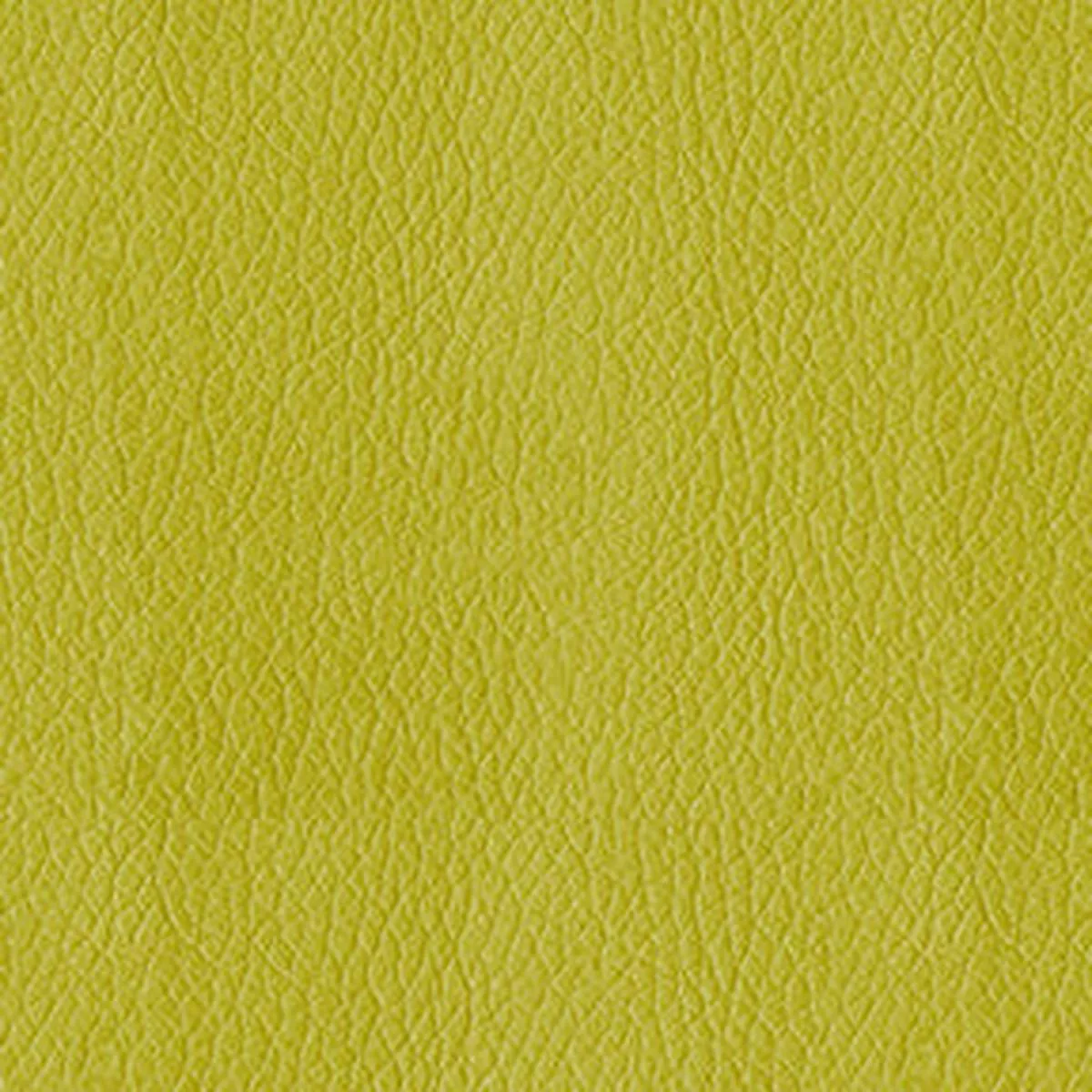 Turner 54 Citron Fabric