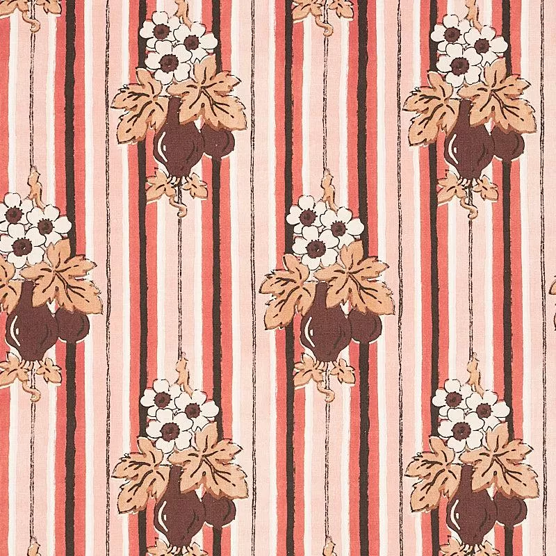 turnip-carnation TURNIP | Carnation