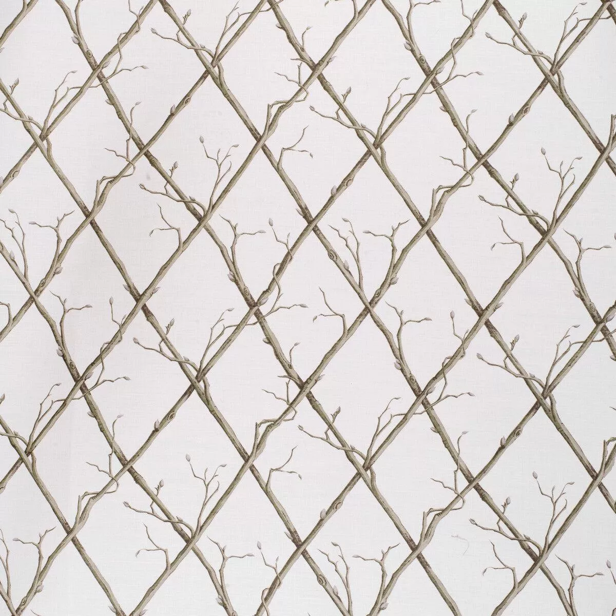 Twig Trellis Green/White Fabric