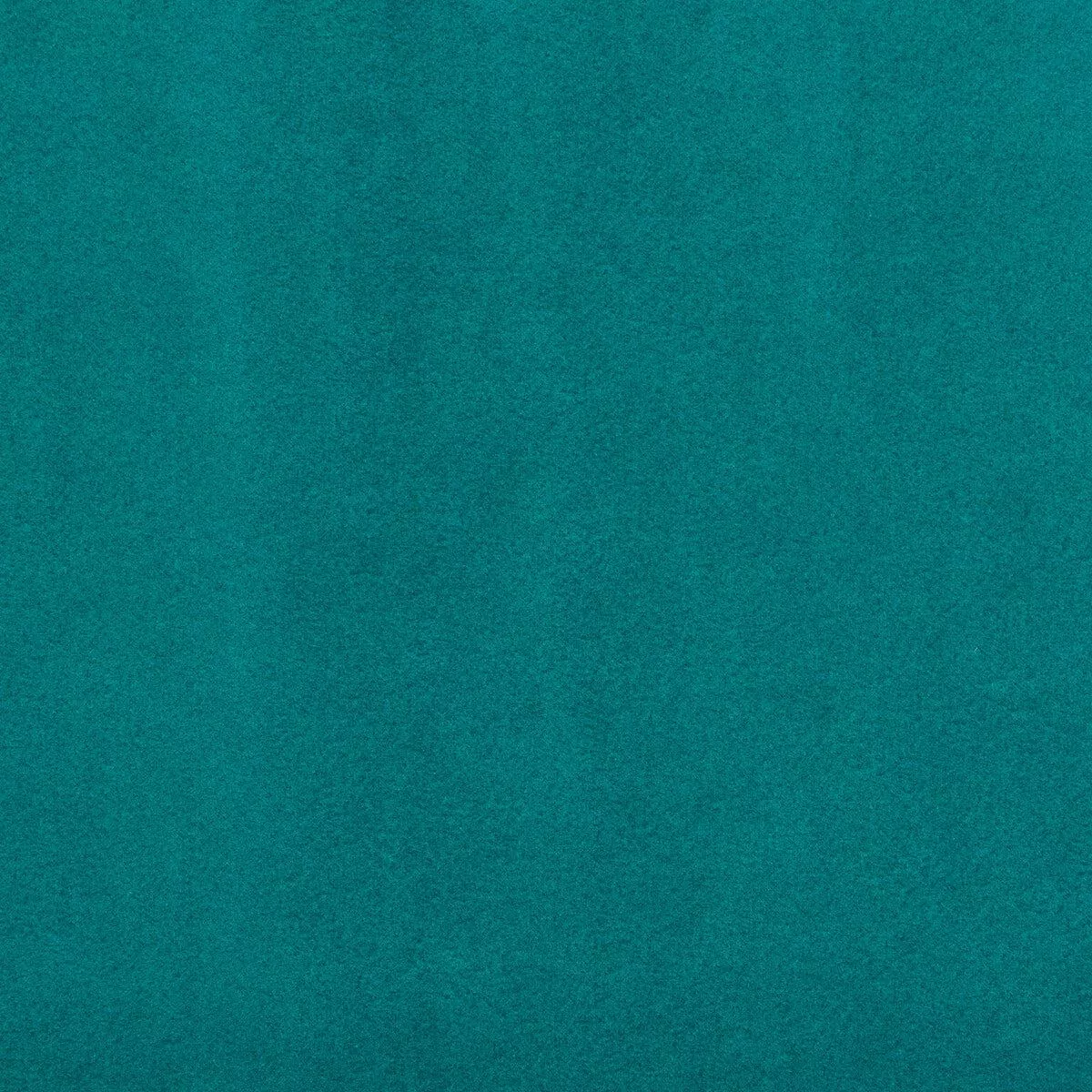 ultimate-teal Ultimate-Teal