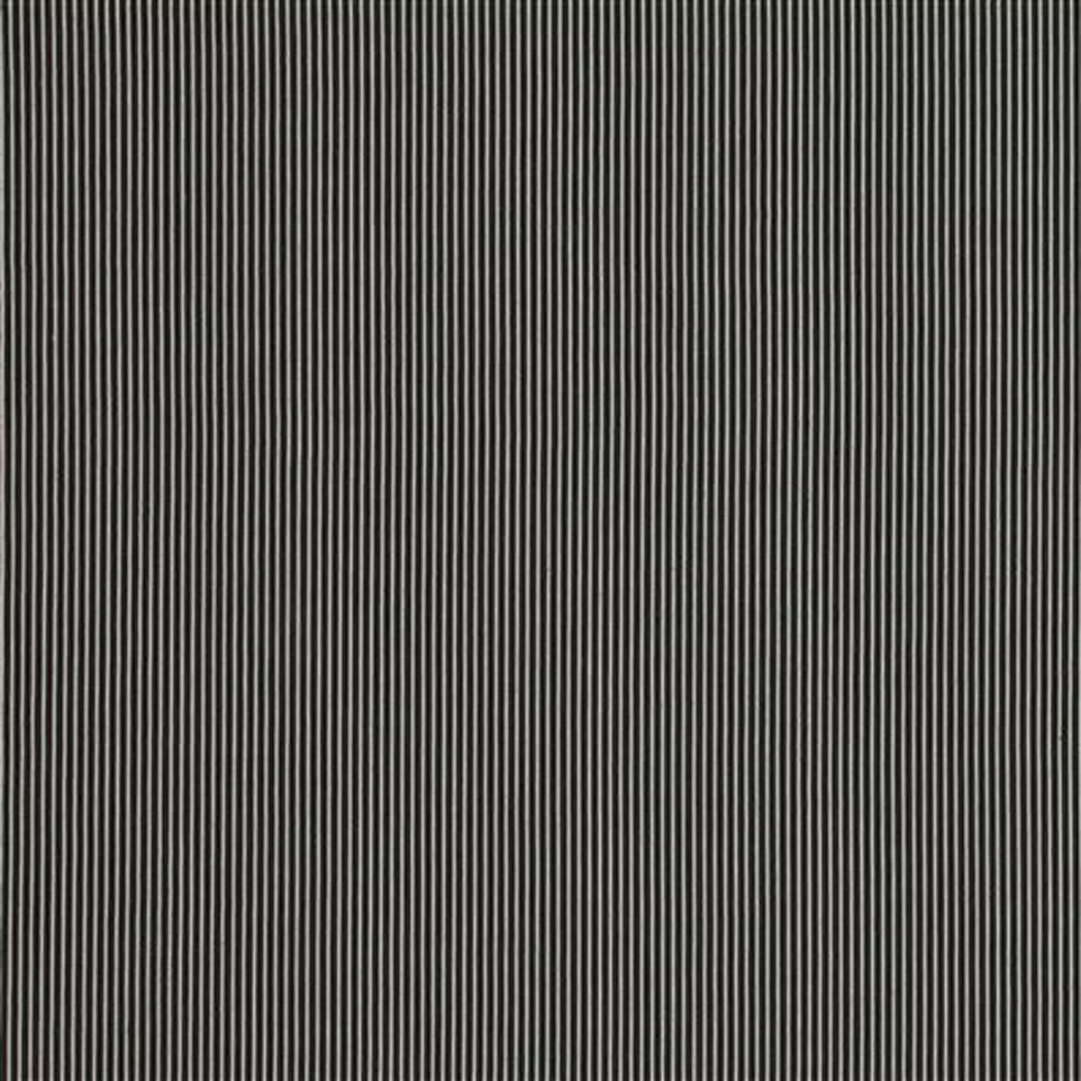 Upstate Jet Richloom Fabric