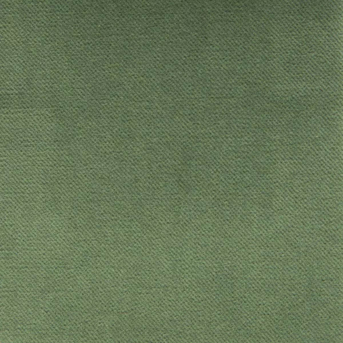 Venecia Verde Fabric