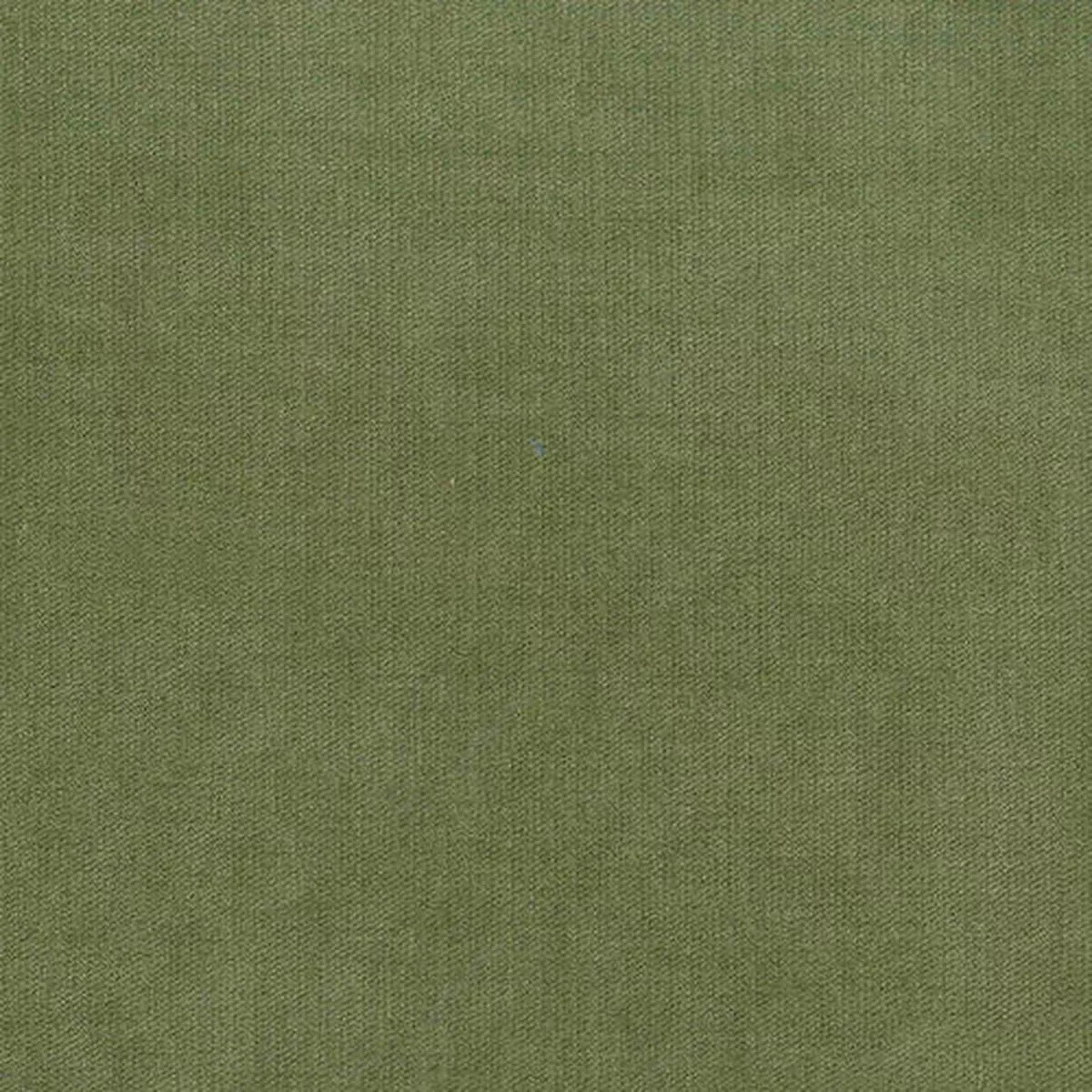 venice-fern-regal-fabric Venice Fern Regal Fabric