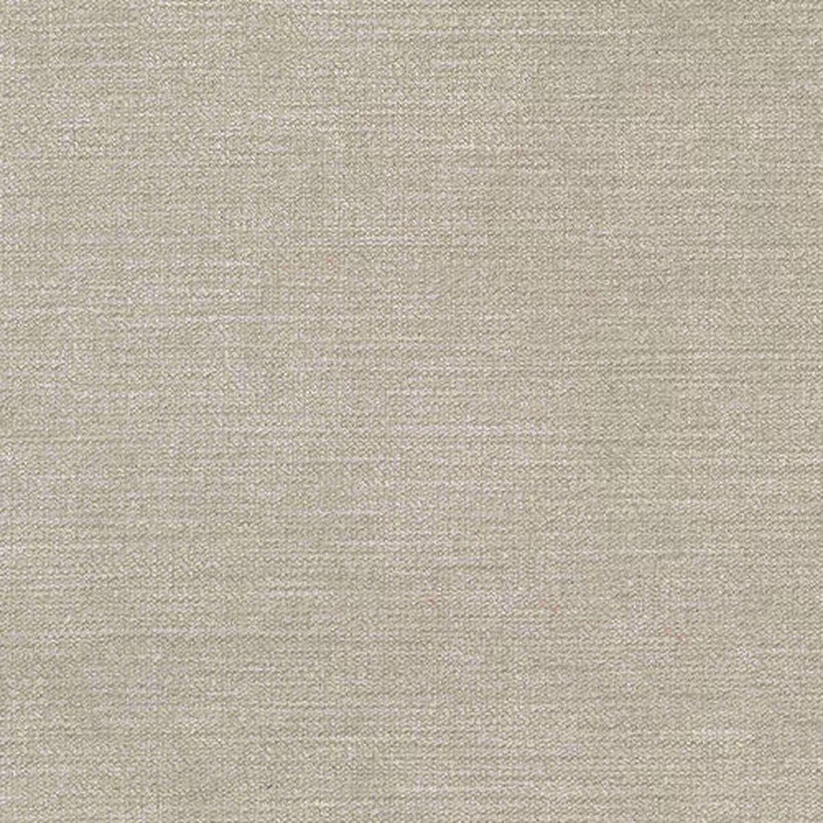 Venice Fog Regal Fabric