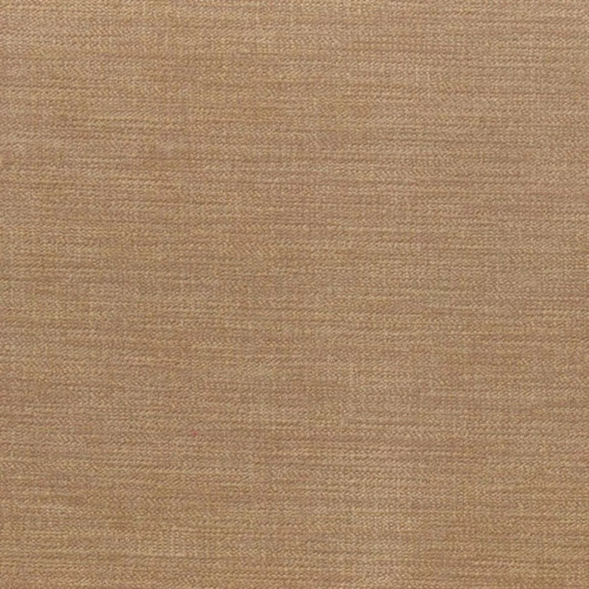 Venice Gold Regal Fabric