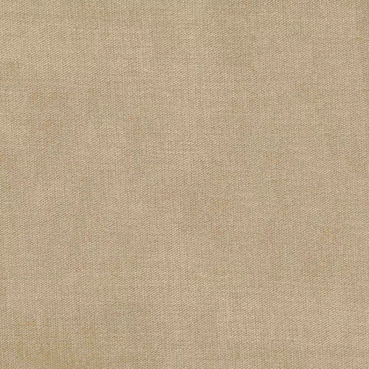 Venice Wheat Regal Fabric