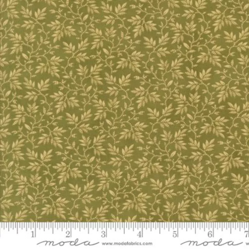 wandering-leaves-unity-fern Wandering Leaves – Unity – Fern