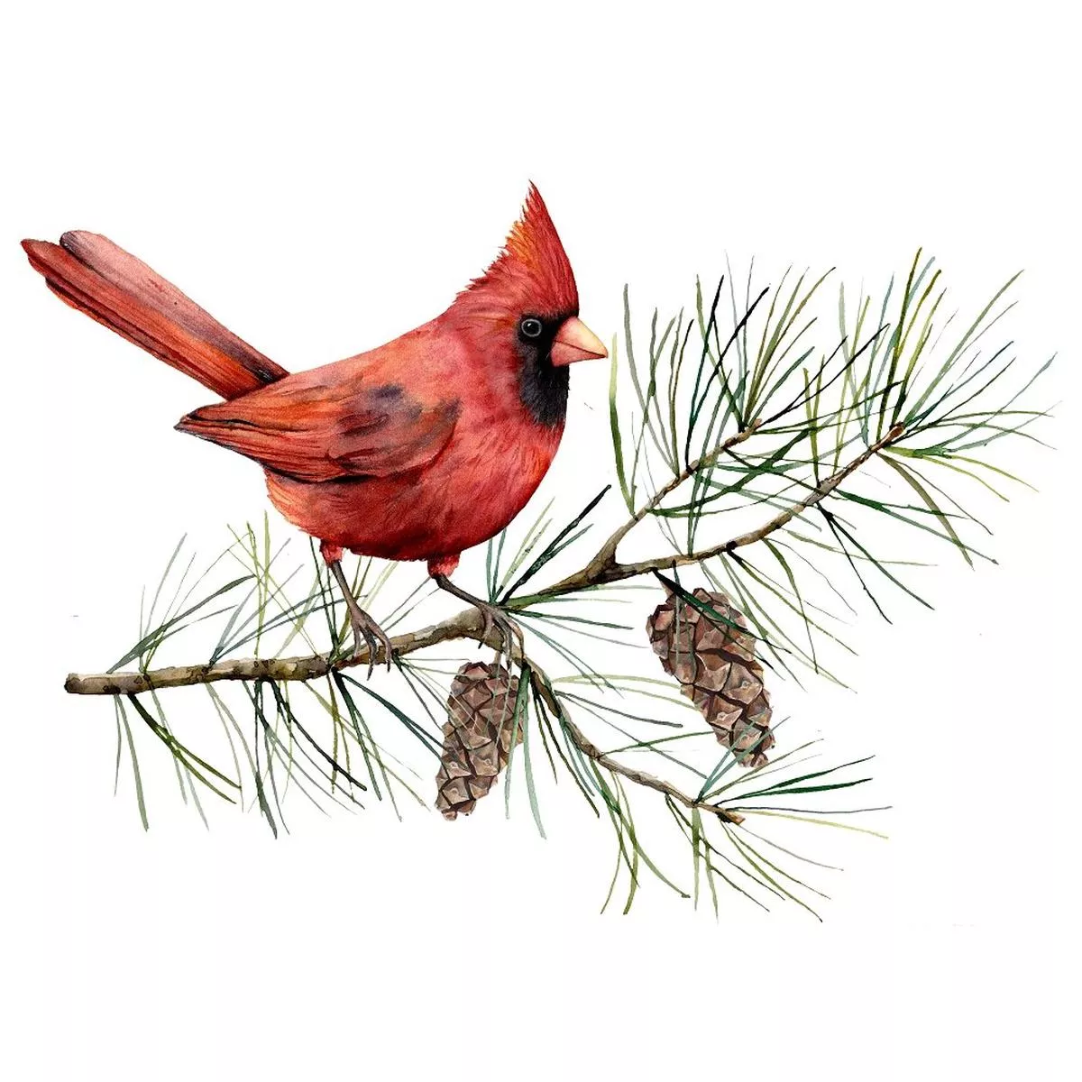 watercolor-cardinal-fabric-panel-red Watercolor Cardinal Fabric Panel – Red