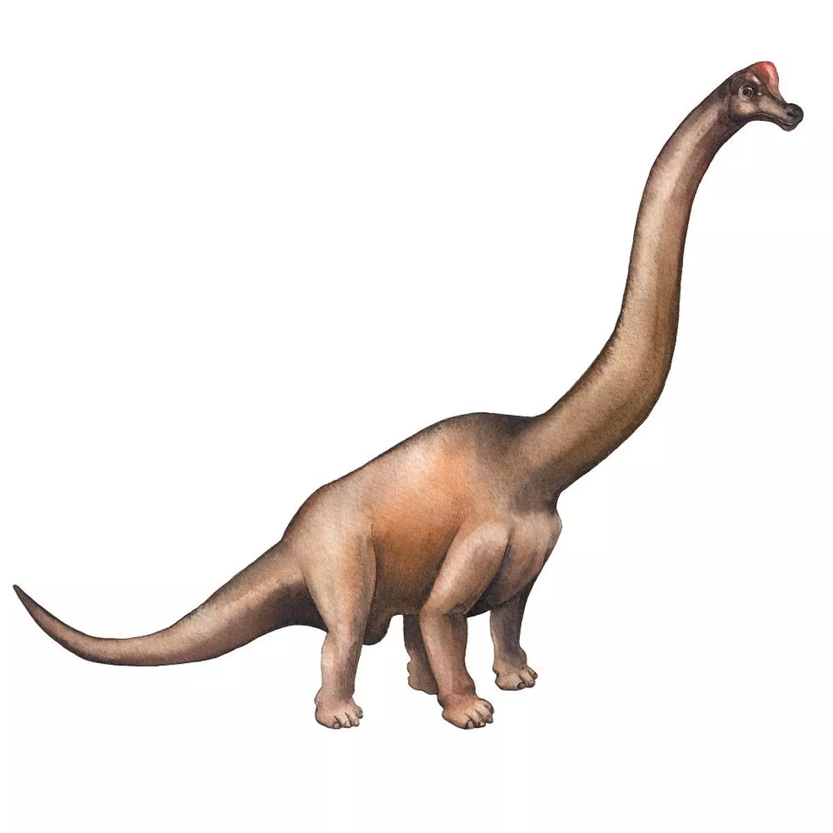 Watercolor Dinosaur Brachiosaurus Style #2 Fabric Panel