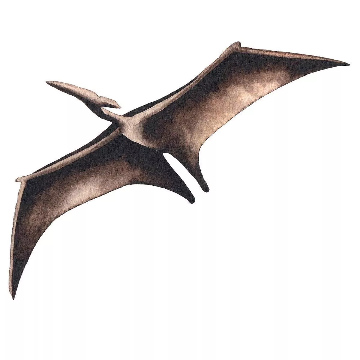 watercolor-dinosaur-pterodactyl-style-2-fabric-panel Watercolor Dinosaur Pterodactyl Style #2 Fabric Panel