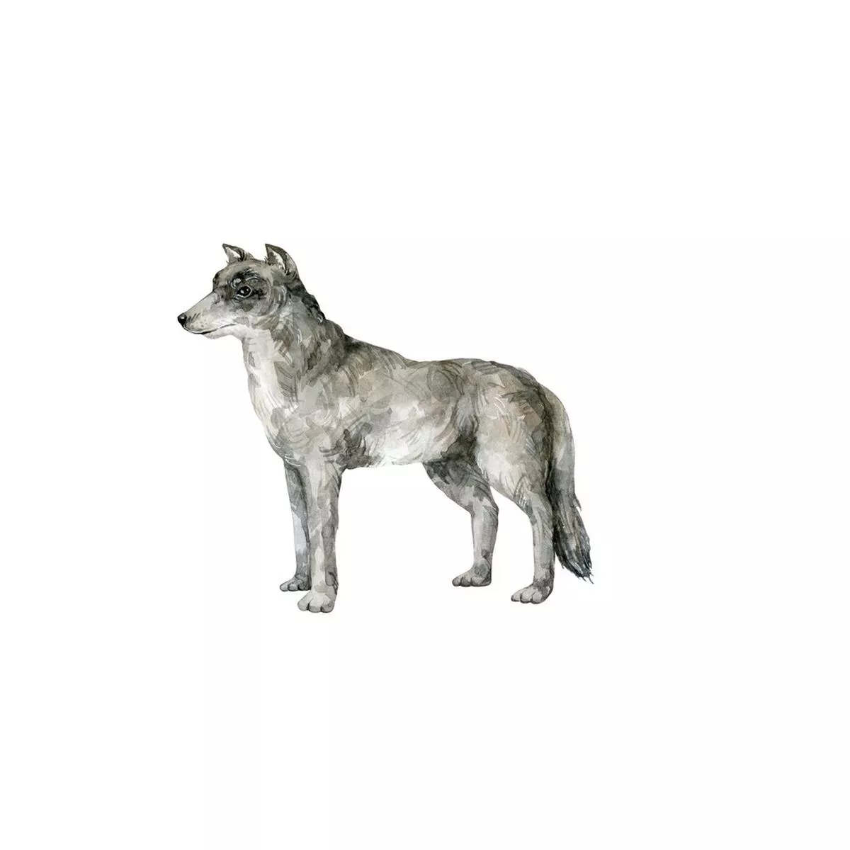 watercolor-grey-wolf-fabric-panel Watercolor Grey Wolf Fabric Panel