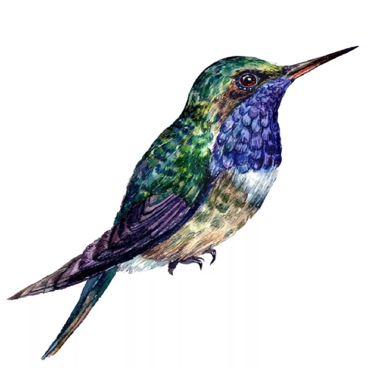 watercolor-hummingbird-fabric-panel-white Watercolor Hummingbird Fabric Panel – White