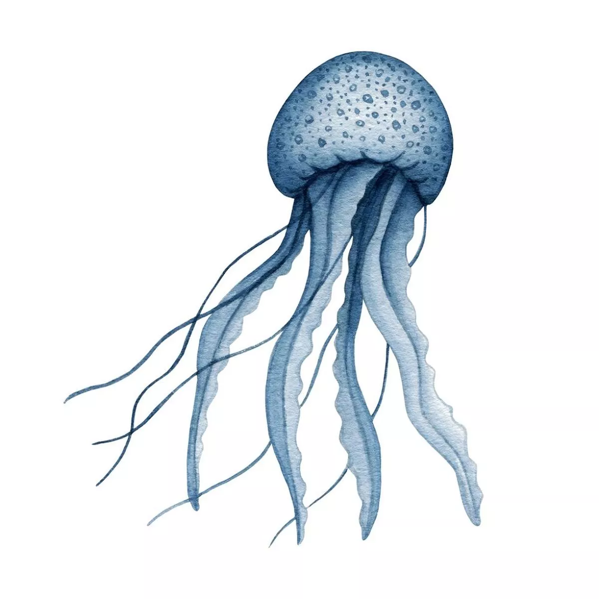 Watercolor Jelly Fish Fabric Panel