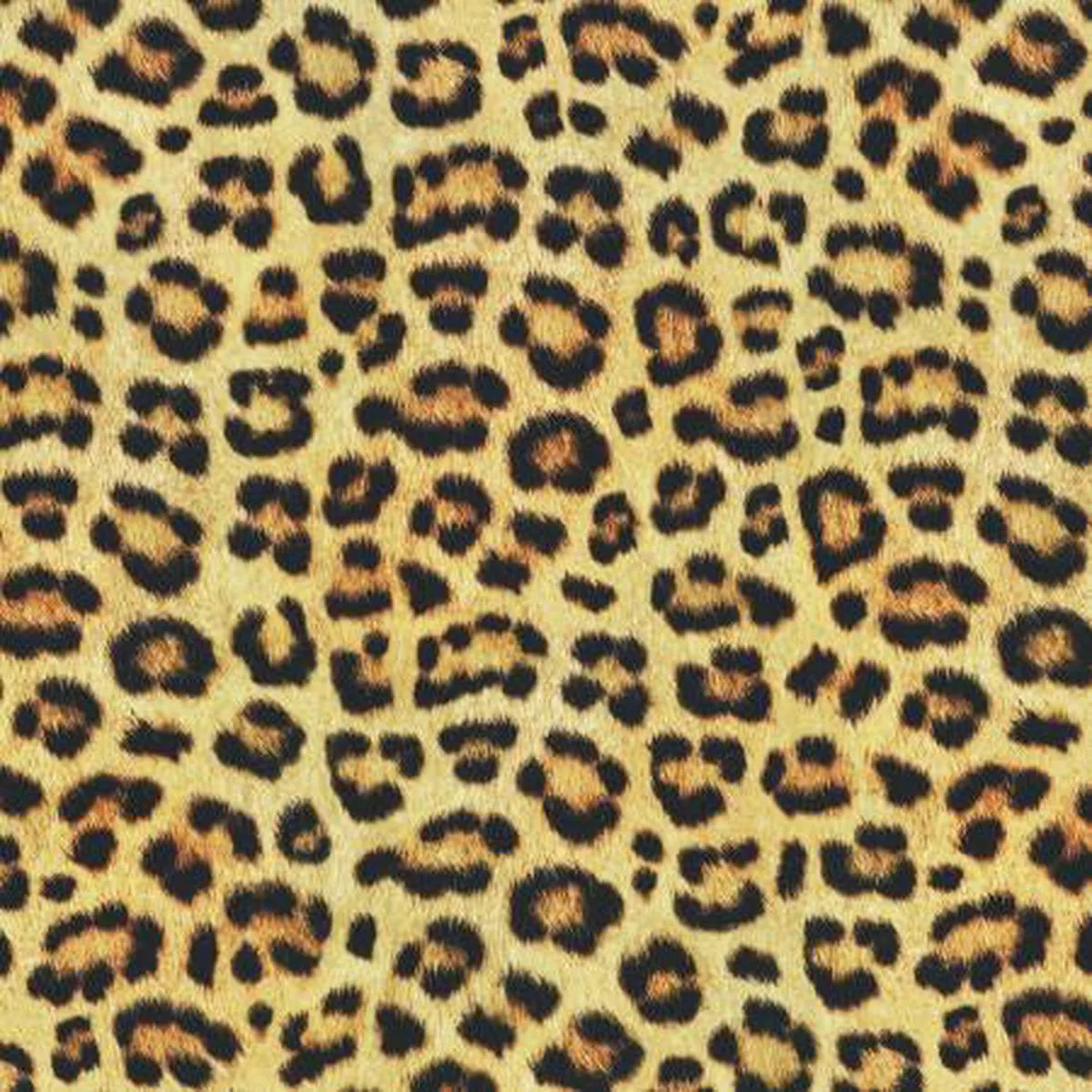 Wild Cheetah Mandalay Performance Knit Prints — Robert Kaufman