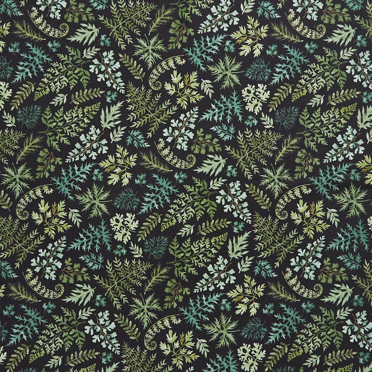 wild-harvest-small-ferns-black-yardage Wild Harvest – Small Ferns Black Yardage