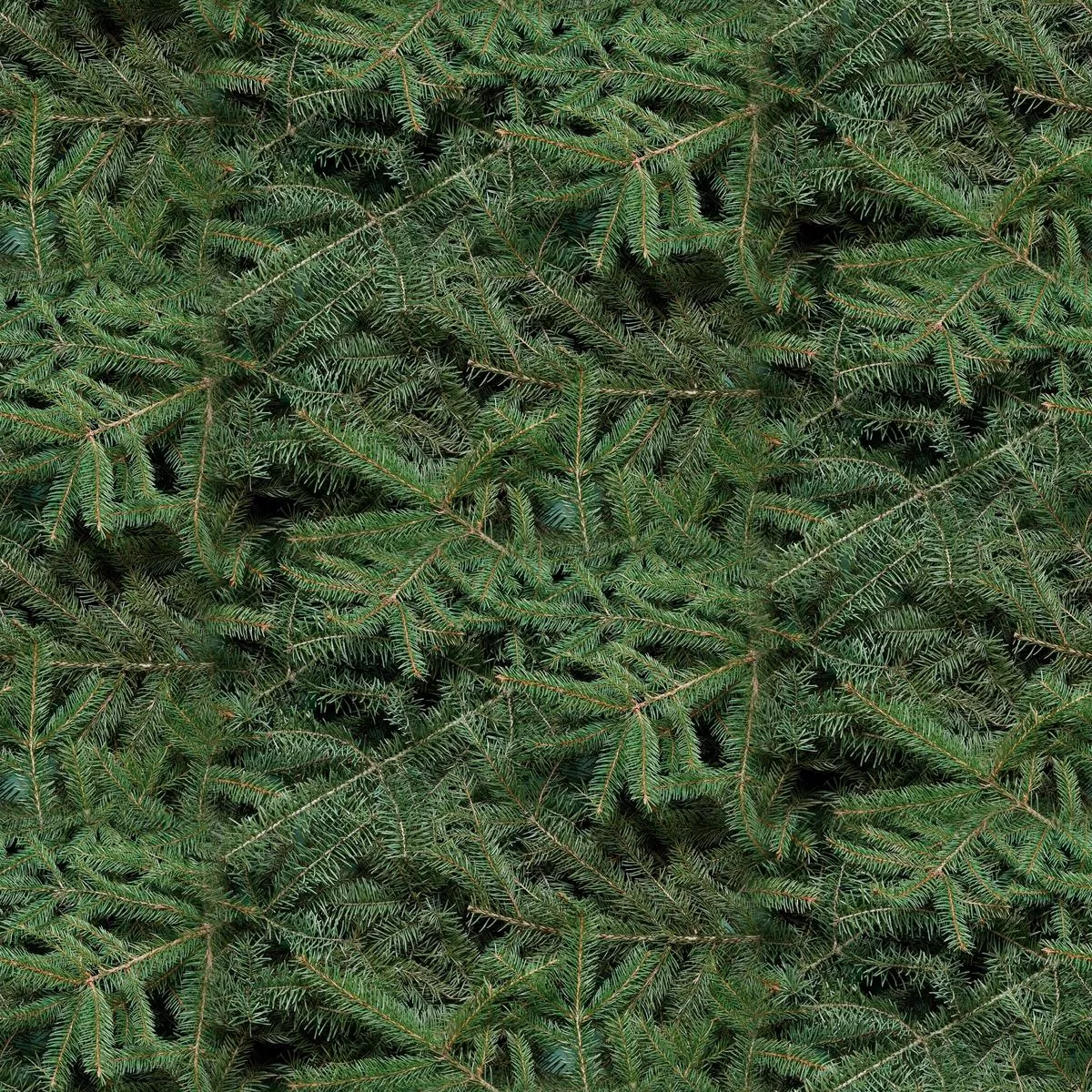 wild-wings-caldwell-creek-pine-needles-fabric Wild Wings Caldwell Creek Pine Needles Fabric