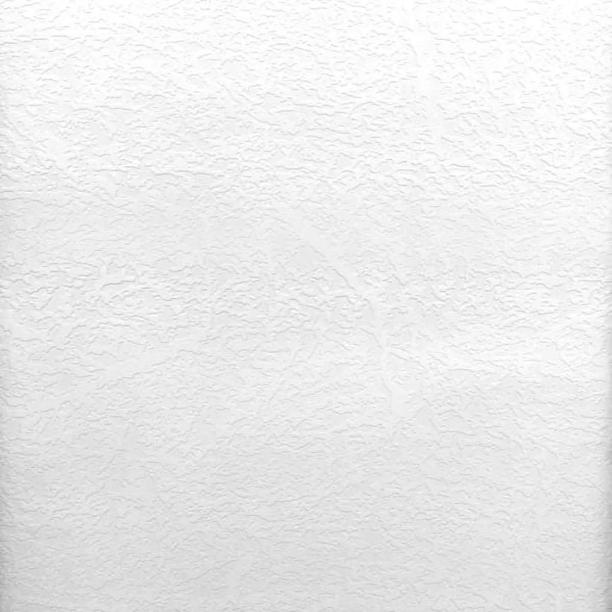 willie-paintable-texture-wallpaper Willie Paintable Texture Wallpaper