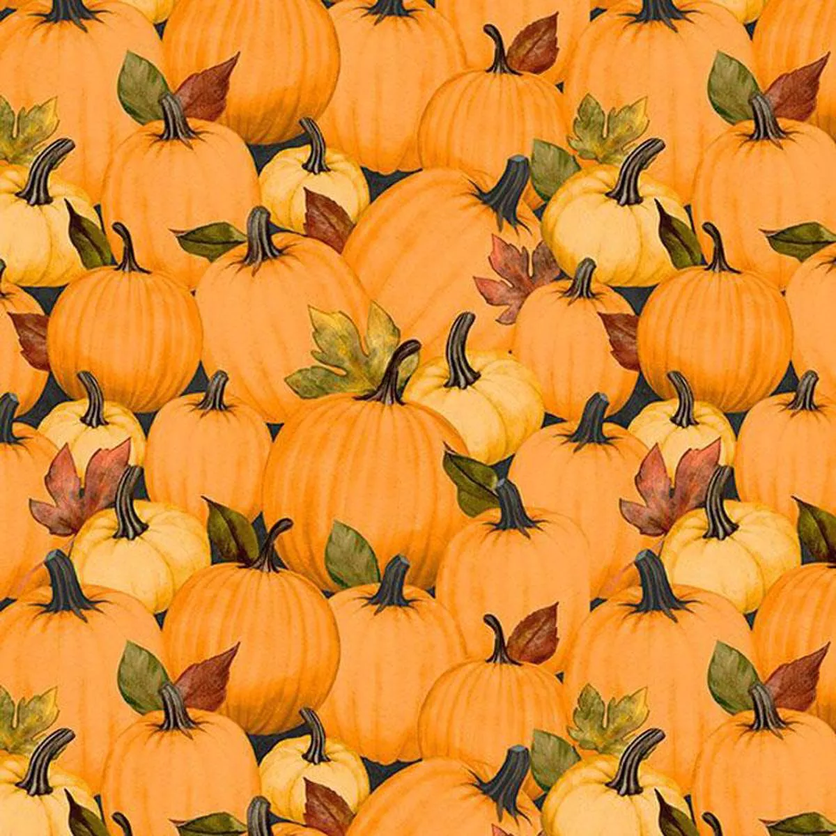 wilmington-oh-my-gourd-27746-987-multi Wilmington Oh My Gourd 27746 987 Multi