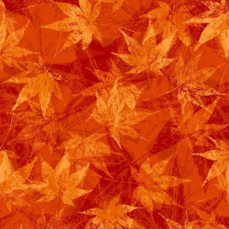 Windfall