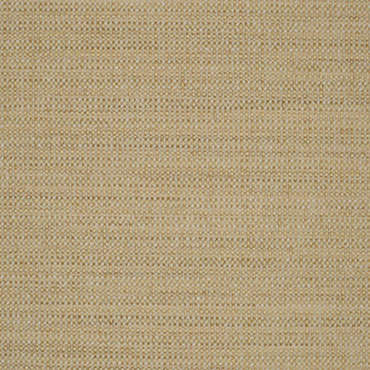 Woodlawn Seashell Covington Fabric