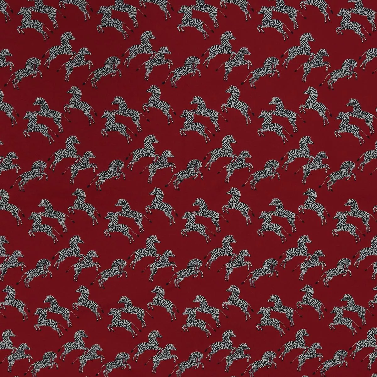 zebras-fabric-collection-just-zebras Zebras Fabric Collection – Just Zebras